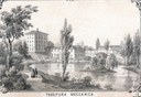 Il (...) complesso industriale raffigurato (...) (Tessitura) è tuttora esistente nella zona tra le attuali vie Tessitura e Cotonificio, a Rorai Grande di Pordenone. Fu fatto costruire nel 1846 dal direttore della Tintoria di Torre, Giuseppe Majer, per produrre tele di cotone (cotonine), dotandolo di 60 telai. Nella prima metà del XIX secolo la città è caratterizzata da un notevole decollo industriale nei settori del tessile, della ceramica e della carta. Agli inizi degli anni ottanta gli stabilimenti cotonieri di Pordenone furono tra i primi in Italia ad impiegare l’energia idroelettrica. La città, prima in Friuli, utilizzò l’elettricità per l’illuminazione pubblica nel 1888.