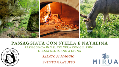 EVENTO GRATUITO "PASSEGGIATA CON GLI ASINI IN VAL COLVERA"