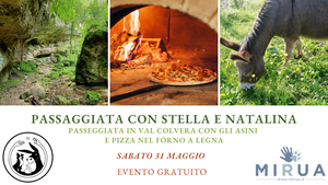 EVENTO GRATUITO "PASSEGGIATA CON GLI ASINI IN VAL COLVERA"