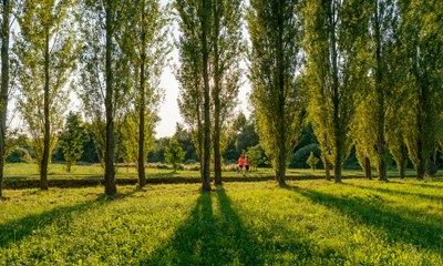 Cicloescursione nel pordenonese