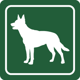 sgambatura cani