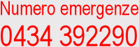 Numero emergenze 0434392290