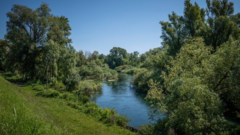 Processo partecipativo volto al miglioramento dell’ambito fluviale del fiume Noncello.
