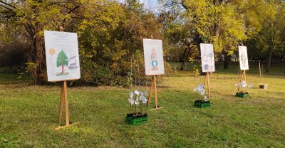 Riforestazione urbana: nuovi alberi messi a dimora nei quartieri della città