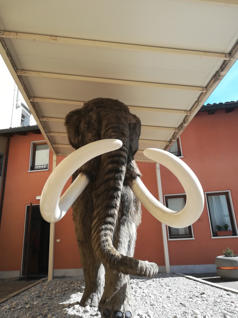 Foto  Il mamut