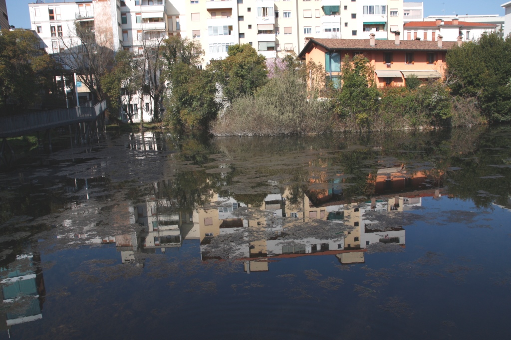 Foto Lo specchio d'acqua