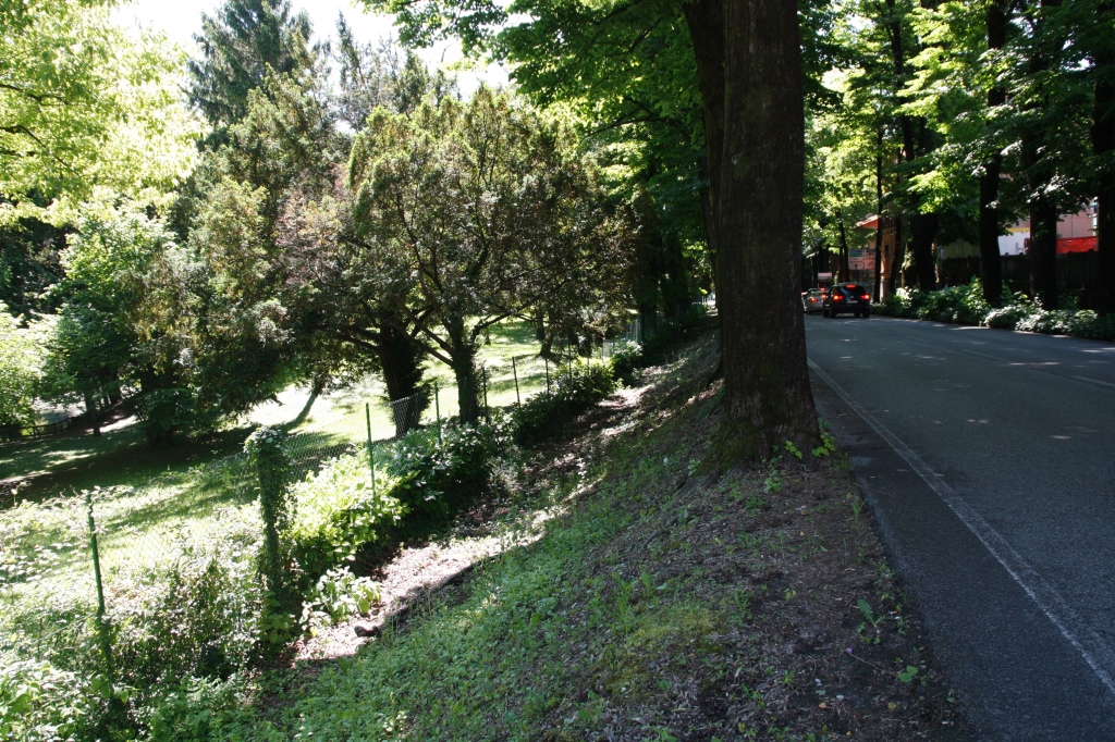 foto La pista ciclabile verrà realizzata tra il filare degli alberi e la recinzione del parco