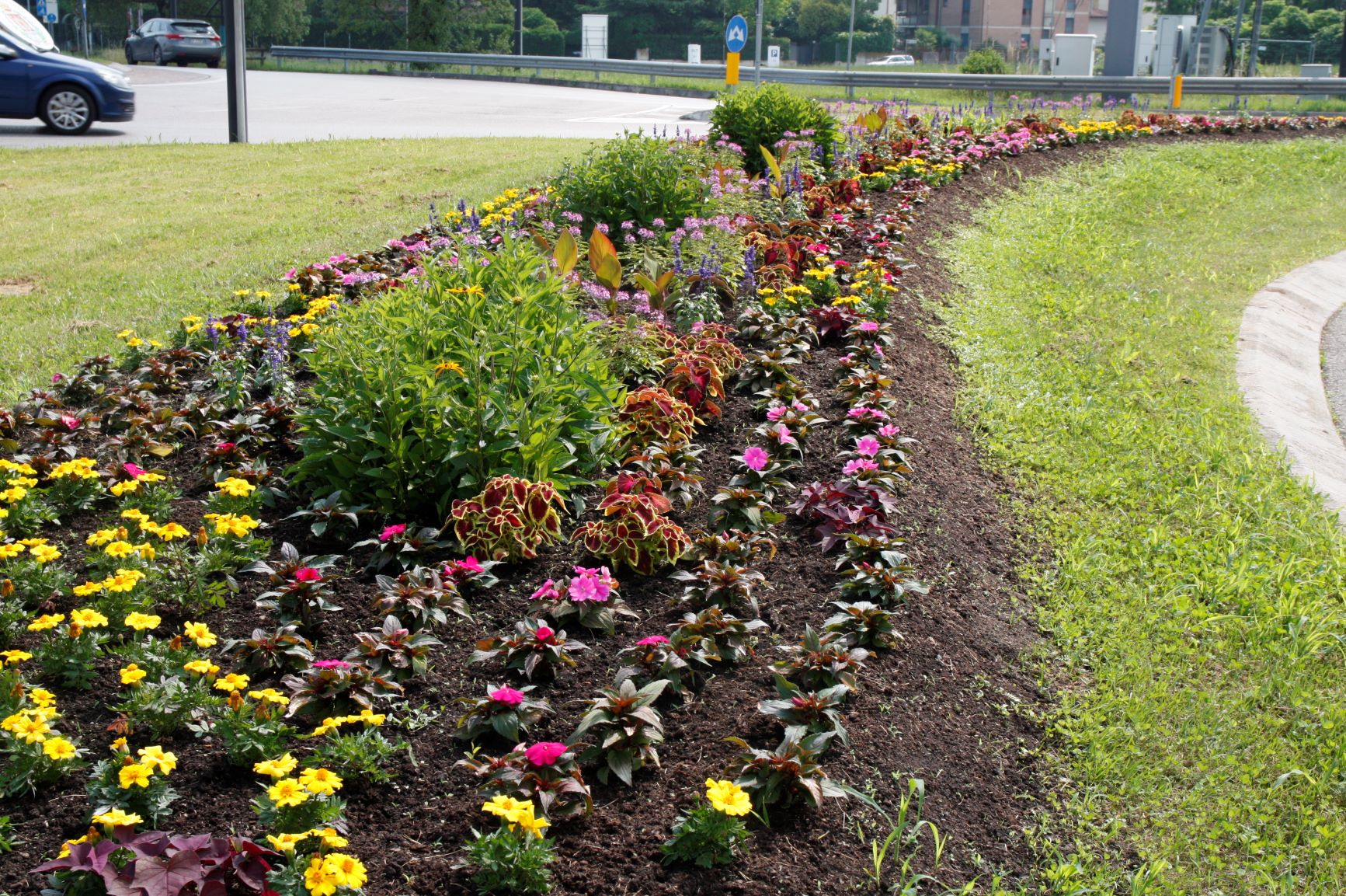 Aiuole Fiorite E Sfalci Aree Verdi Comune Di Pordenone Sito Web Ufficiale