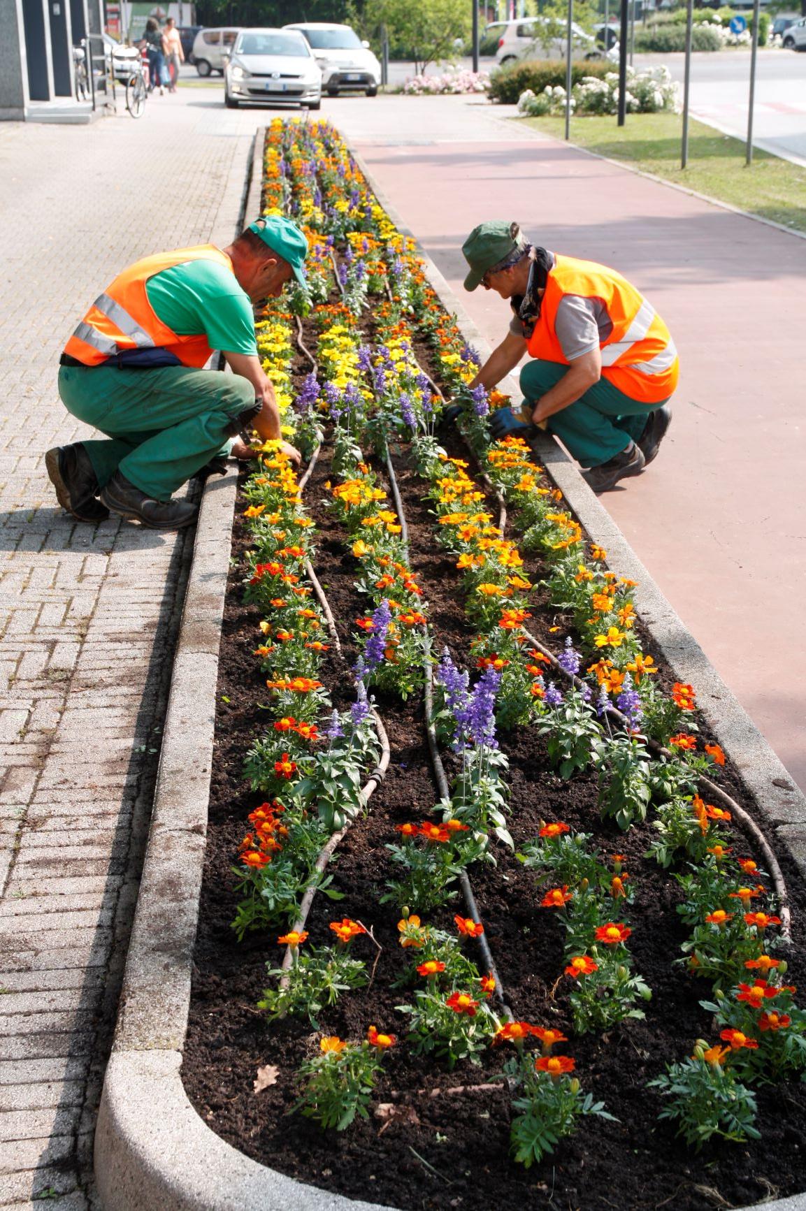 Aiuole Fiorite E Sfalci Aree Verdi Comune Di Pordenone Sito Web Ufficiale