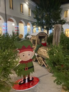 bosco elfi.jpg