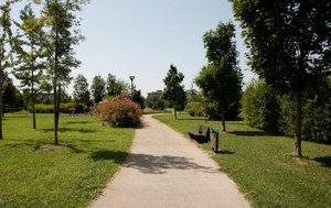 Parco Cimolai _MG_6236.jpg