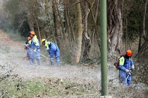 Squadre al lavoro