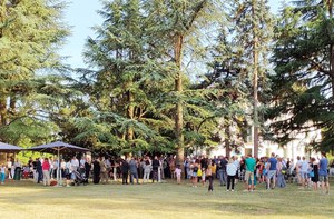 galvani 22-1.jpg