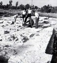 La villa romana di Torre durante gli scavi del conte Giuseppe di Ragogna