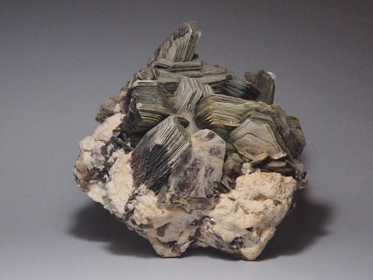 Muscovite