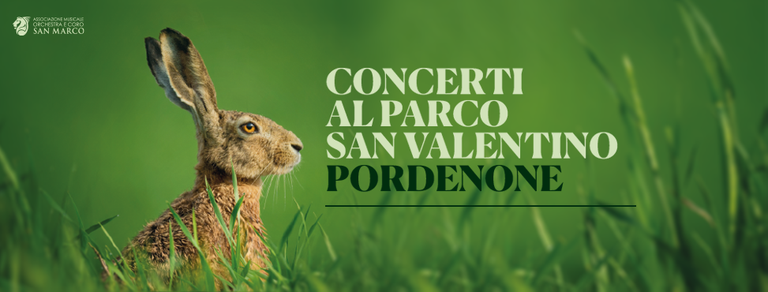 orchestra-san-marco-concerti-parco-san-valentino.png