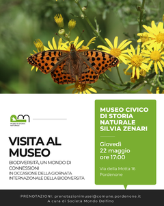 Visita al museo: biodiversità, un mondo di connessioni