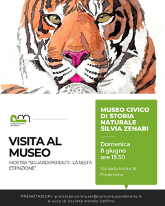 Visita guidata alla mostra “Sguardi perduti - la sesta estinzione”