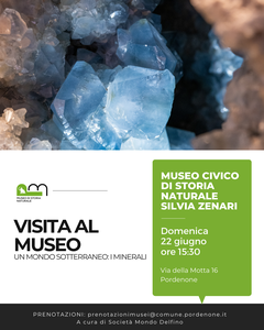 visita tematica "Un mondo sotterraneo: i minerali"