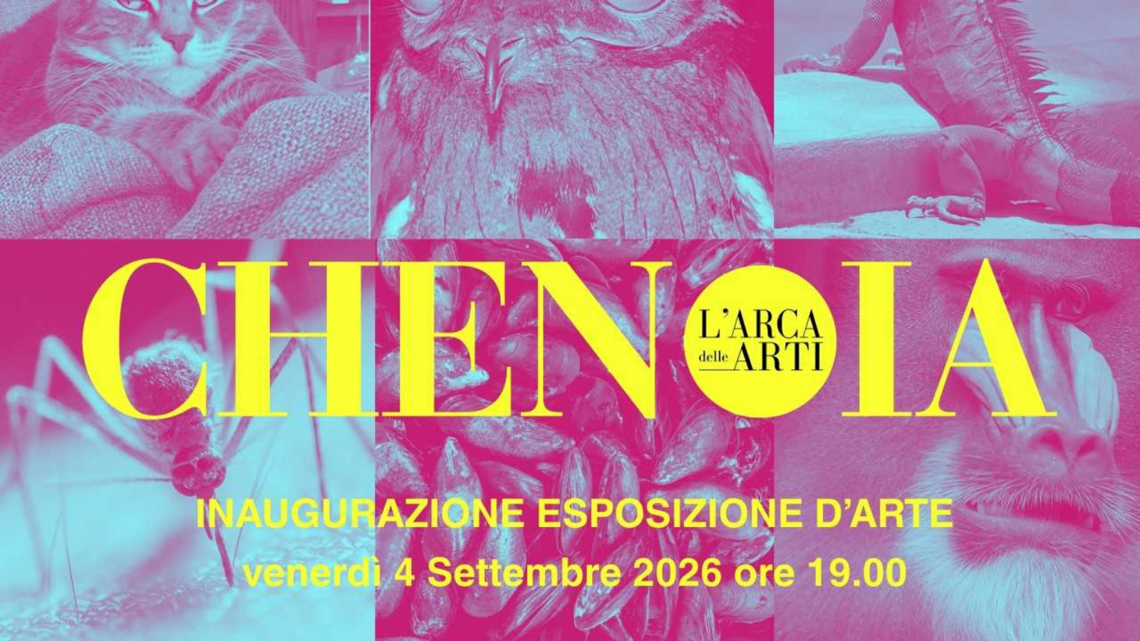 ANTEPRIMA EVENTO (10).png