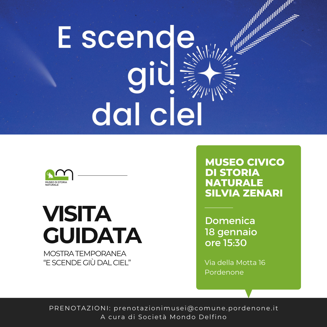 Museo Di Storia Naturale - mostra E scende giù dal ciel - visita guidata - 18 gennaio 2026 - Società Mondo Delfino Cooperativa Sociale - Musei.png