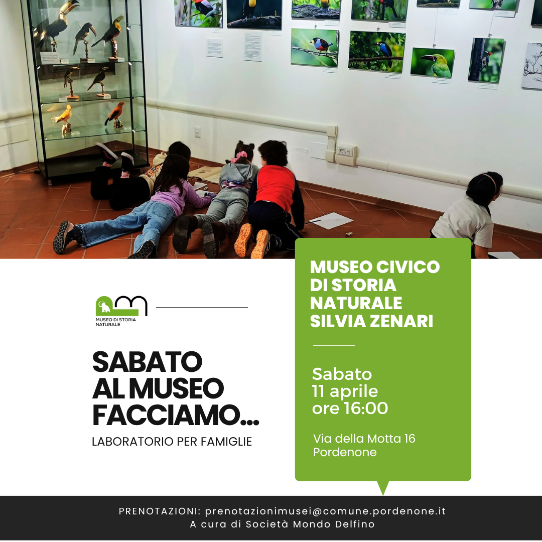 Museo Di Storia Naturale - Laboratorio per famiglie Sabato al Museo facciamo... - 11 aprile 2026 - Società Mondo Delfino Cooperativa Sociale - Musei.png